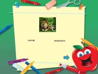SALVAJE DOMESTICO