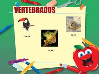 VERTEBRADOS
TUCAN
COQUI
FOCA