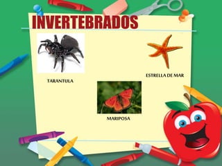 INVERTEBRADOS
TARANTULA
MARIPOSA
ESTRELLADEMAR