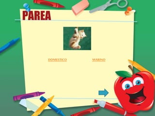 PAREA
DOMESTICO MARINO