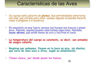20
Características de las AvesCaracterísticas de las Aves
• Su cuerpo está cubierto de plumas. Sus extremidades anteriores
son alas, que utilizan para volar, aunque algunas no puedan hacerlo
como el pingüino o el avestruz.
• Es esqueleto es muy ligero, porque sus huesos son huecos y pesan
poco. Además, algunas poseen unas bolsas especiales, llamadas
sacos aéreos, que están llenos de aire y facilitan el vuelo.
• La temperatura del cuerpo es constante, es decir, son animales
de sangre caliente.
• Respiran por pulmones. Poseen en la boca un pico, sin dientes,
que varía de unas aves a otras, según su alimentación.
• Tienen cloaca, por donde ponen los huevos.
 