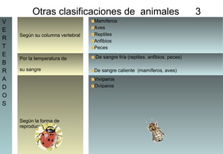 3
Otras clasificaciones de animales 3
V
E
R
T
E
B
R
A
D
O
S
Según su columna vertebral
Mamíferos
Aves
Reptiles
Anfibios
Peces
Por la temperatura de
su sangre
De sangre fría (reptiles, anfibios, peces)
De sangre caliente (mamíferos, aves)
Según la forma de
reproducción
Vivíparos
Ovíparos
 