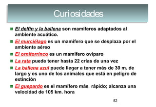 52
CuriosidadesCuriosidades
El delfín y la ballena son mamíferos adaptados al
ambiente acuático.
El murciélago es un mamífero que se desplaza por el
ambiente aéreo
El ornitorrinco es un mamífero ovíparo
La rata puede tener hasta 22 crías de una vez
La ballena azul puede llegar a tener más de 30 m. de
largo y es uno de los animales que está en peligro de
extinción
El guepardo es el mamífero más rápido; alcanza una
velocidad de 105 km. hora
 