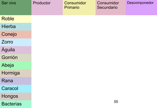 55
Ser vivo Productor Consumidor
Primario
Consumidor
Secundario
Descomponedor
Roble
Hierba
Conejo
Zorro
Águila
Gorrión
Abeja
Hormiga
Rana
Caracol
Hongos
Bacterias
 