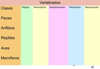 56
Vertebrados
Clases Rasgos Alimentación Desplazamiento Respiración Reproducción
Peces
Anfibios
Reptiles
Aves
Mamíferos
56
 