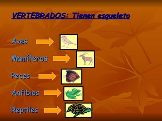 VERTEBRADOS: Tienen esqueletoVERTEBRADOS: Tienen esqueleto
AvesAves
MamíferosMamíferos
PecesPeces
AnfibiosAnfibios
ReptilesReptiles
 