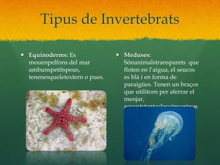 Tipus de InvertebratsEquinoderms: Es mouenpelfons del mar ambunspetitspeus,  tenenesqueletextern o pues.Meduses: Sónanimalstransparets  que floten en l’aigua, el seucos es blà i en forma de paraigües. Tenen un braços que utilitcen per aferrar el menjar, aqueststentaclessónverinosos.