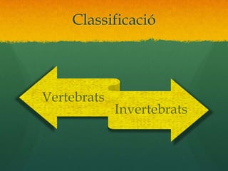 Classificació