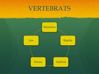 VERTEBRATS