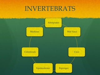 INVERTEBRATS