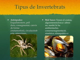 Tipus de InvertebratsArtròpodes: Esqueletextern, pell dura, cossegmentat, canvis de forma (metamorfosi), circulacióoberta, sónovípars.Mol·luscs: Tenen el costou, algunstenenclosca i altres no, també hi ha ambtentacles; cossensesegmentació, simétrics; sónaquàtics o terrestres.