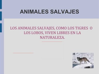 ANIMALES SALVAJES
LOS ANIMALES SALVAJES, COMO LOS TIGRES O
LOS LOBOS, VIVEN LIBRES EN LA
NATURALEZA.
file:///C:/Users/USUARIO/Pictures/CAQ1O1XLCAZFGCN3CAPW2ZPICAY8AIBTCAI3YL1PCAZHVHPOCAEBF5YICAFXE3H0CA0FSHGVCASIR4NLCAD2L343CA918ALVCADI36GWCARIWHN6CA3UE1E6CAWAPK7VCAPNLUPVCAAZWO6ECADUWMYG.jpg
file:///C:/Users/USUARIO/Pictures/CARLZSL5CAP83ZB7CADDXHSVCAV8SMTUCABFXNQ2CA3Y19EGCA5FN4ABCAZ385OWCA9P4GBXCAGDWZWVCA6I0H5FCAZHM6LSCAPT2EA3CAH4TIUICAU2GNMPCAZ55OYDCALYGHOVCAR8BFHDCA5IU1IF.jpg
 