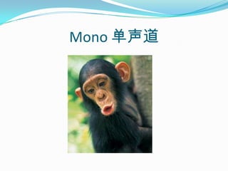 Mono 单声道