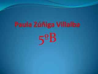 Paula Zúñiga Villalba5ºB