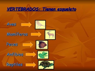 VERTEBRADOS: Tienen esqueleto Aves  Mamíferos Peces Anfibios Reptiles 