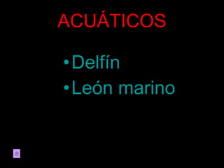 ACUÁTICOS Delfín León marino
