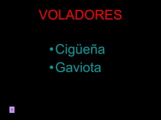 VOLADORES Cigüeña Gaviota