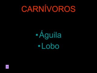 CARNÍVOROS Águila Lobo