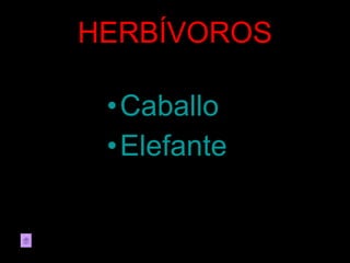 HERBÍVOROS Caballo Elefante
