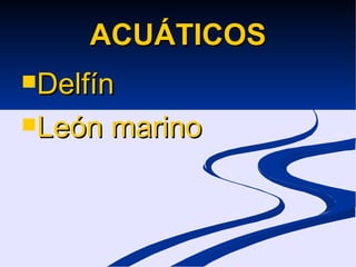 ACUÁTICOS Delfín León marino