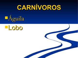 CARNÍVOROS Águila Lobo