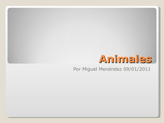 Animales Por Miguel Menéndez 09/01/2011 