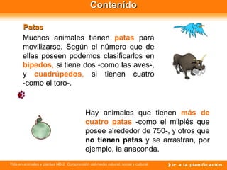 Contenido Muchos animales tienen  patas   para movilizarse. Según el número  que de ellas   poseen  podemos clasificarlos en  bípedos ,  si tiene dos -como las aves-, y  cuadrúpedos ,   si tienen cuatro   -como el toro-. Hay animales que tienen  más de   cuatro patas   -como el milpiés que posee alrededor de 750-, y otros que  no tienen patas  y se arrastran, por ejemplo ,  la anaconda. Patas 