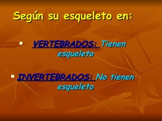 Según su esqueleto en: VERTEBRADOS:  Tienen esqueleto INVERTEBRADOS:  No tienen esqueleto 