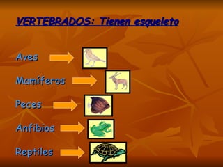 VERTEBRADOS: Tienen esqueleto Aves  Mamíferos Peces Anfibios Reptiles 