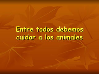 Entre todos debemos cuidar a los animales 