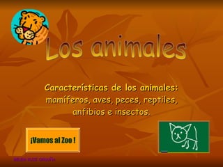 Características de los animales:  mamíferos, aves, peces, reptiles, anfibios e insectos. BELEM RUIZ ORDUÑA ¡Vamos al Zoo ! Los animales 