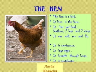 THE  HEN The Hen is a bird.  It lives  in the farm. It  has  got beak,  feathers, 2 legs  and 2 wings  It  can  walk  run  and  fly  It  is omnivorous. It  lays eggs . It  breaths  through lungs. It  is vertabrate . Aarón  Nogueira 