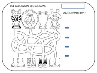 UNE CADA ANIMAL CON SUS PATAS. ¿QUÉ ANIMALES SON?