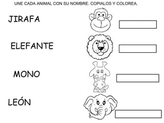 LEÓN ELEFANTE MONO JIRAFA UNE CADA ANIMAL CON SU NOMBRE. COPIALOS Y COLOREA.