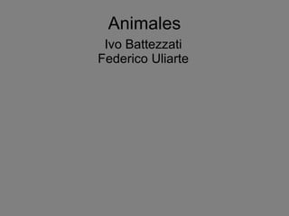 Animales Ivo Battezzati Federico Uliarte 