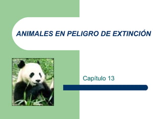 ANIMALES EN PELIGRO DE EXTINCIÓN Capítulo 13 