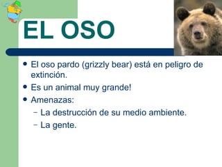 EL OSO El oso pardo (grizzly bear) está en peligro de extinción. Es un animal muy grande! Amenazas: La destrucción de su medio ambiente. La gente. 