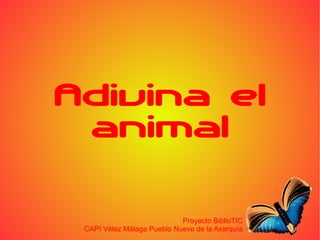 Adivina el animal Proyecto BiblioTIC CAPI Vélez Málaga Pueblo Nuevo de la Axarquía 