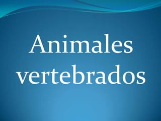 Animales   vertebrados 