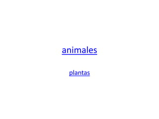 animales

 plantas
 