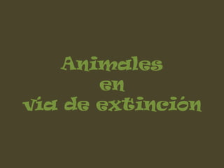 Animales
       en
vía de extinción
 
