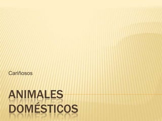 Cariñosos



ANIMALES
DOMÉSTICOS
 