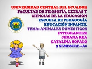 UNIVERSIDAD CENTRAL DEL ECUADOR
  FACULTAD DE FILOSOFÍA, LETRAS Y
        CIENCIAS DE LA EDUCACIÓN
           ESCUELA DE PEDAGOGÍA
              EDUCACIÓN INFANTIL
      TEMA: ANIMALES DOMÉSTICOS
                    INTEGRANTES:
                      JHOANA REA
                 CATALINA SOPALO
                   5 SEMESTRE «A»
 