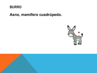BURRO
Asno, mamífero cuadrúpedo.