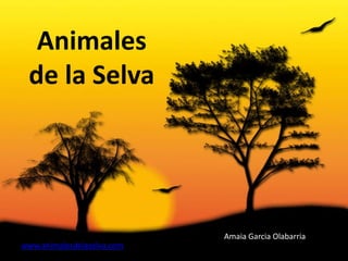Animales
 de la Selva




                            Amaia Garcia Olabarria
www.animalesdelaselva.com
 
