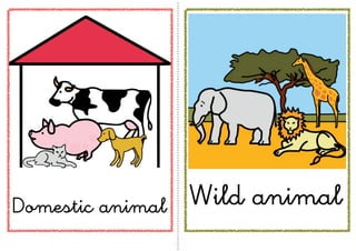 Domestic animal   Wild animal
 