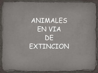 ANIMALES
  EN VIA
    DE
EXTINCION
 
