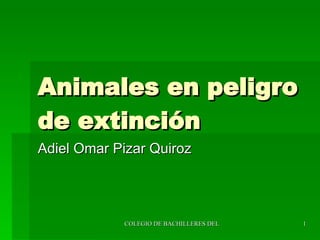 Animales en peligro de extinción Adiel Omar Pizar Quiroz 