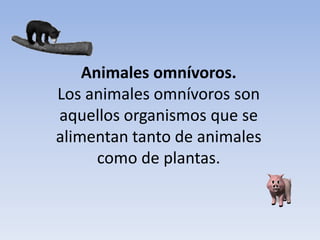 Animales omnívoros.
Los animales omnívoros son
aquellos organismos que se
alimentan tanto de animales
      como de plantas.
 