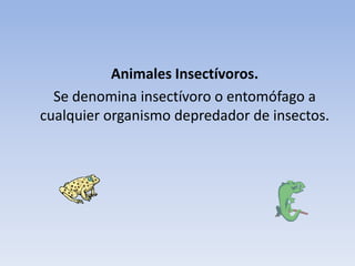 Animales | PPTX